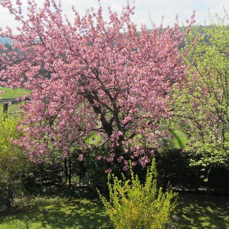 Pension Maria Wallner Bad Gams Exterior foto